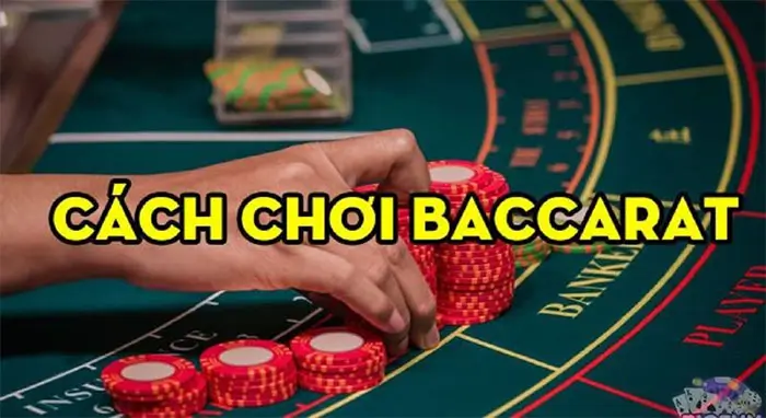 Các chiến thuật chơi Baccarat